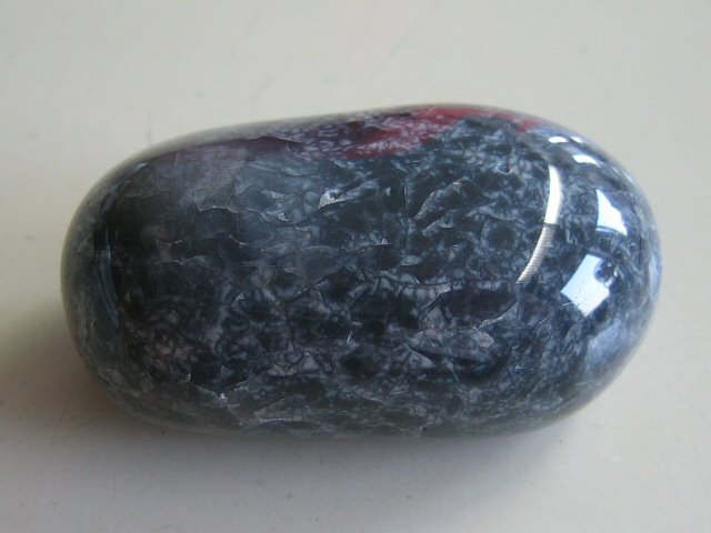 Fossiliensammler U.Lieven